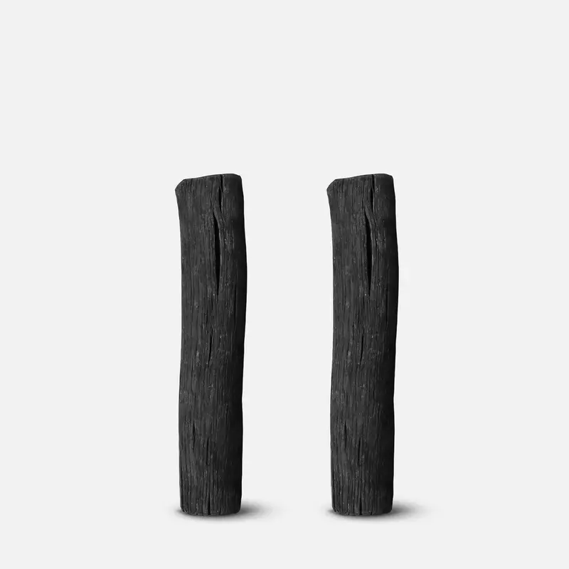 Dual-Pack Activated Charcoal Water Filter Cartridges 1