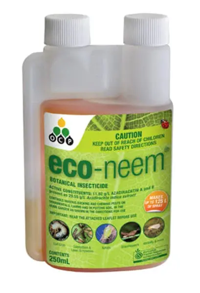 Eco-Neem Oil Concentrate – 100G Botanical Insecticide 1