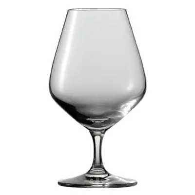 Schott Zwiesel Bar Special Cognac & Brandy Glass 1