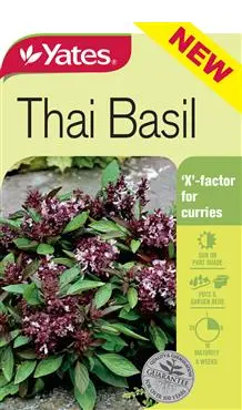 Thai Basil Seeds – Yates Organic Herb Seed Pack 1